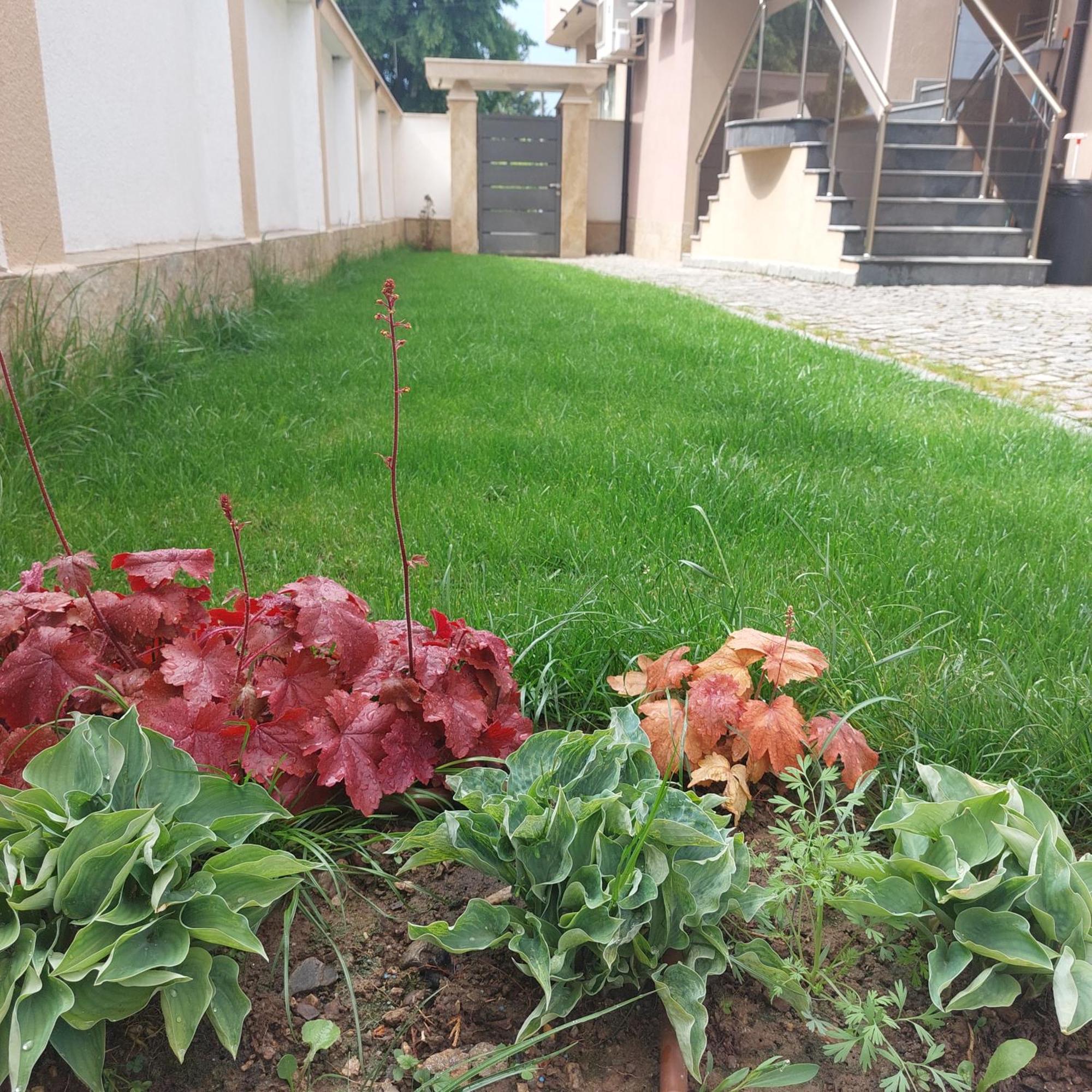 Stella Guesthouse Szapareva Banja Kültér fotó
